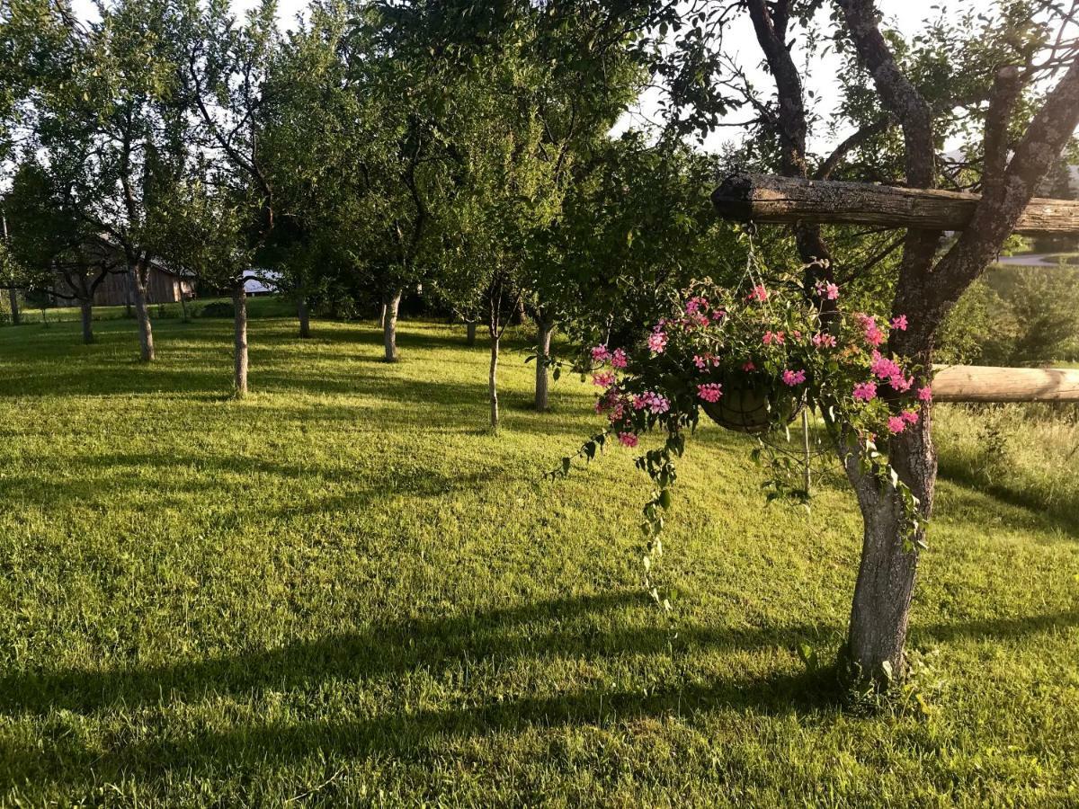 Guest House Klanfar Grabovac  Bagian luar foto